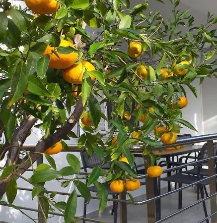 Lemonokipos Sissi (Crete)
